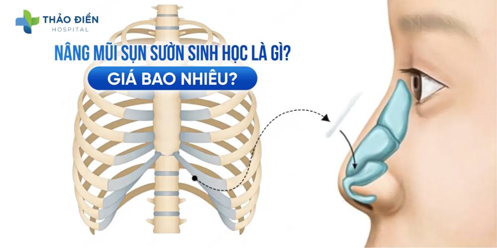What Is Bio-Cartilage Rhinoplasty and How Much Does It Cost?
